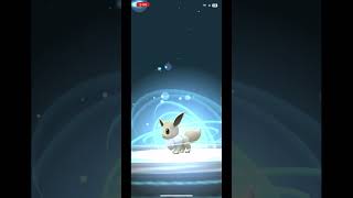 Evolving Shiny Eevee pokemon pokemongo shinypokemon [upl. by Annasiul]