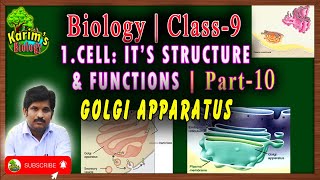 Class9  Biology  Cell Its Structure and Functions  Part 10  Golgi Apparatus [upl. by Jankell250]