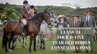 Class Twenty Four 4 amp 5 Year Old Ridden Connemara Pony  98th Annual Connemara Pony Show [upl. by Maite732]