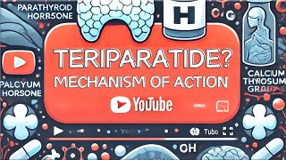 【Teriparatide】 PTH analog Pharmacology Forteo® Mechanism of Action Simply Explained [upl. by Noel]