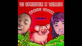 DJ SprinTer X WilleM  Cochon roussi Remix [upl. by Aerdno790]