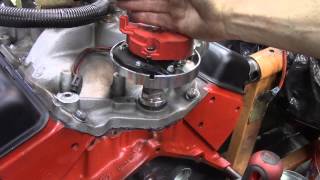 How to Install A distributor in a 350 Chevy [upl. by Lazarus]