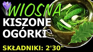 Kiszone ogórki  Wiosna [upl. by Atiuqehc]