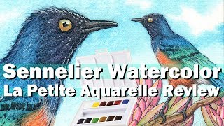 Sennelier La Petite Aquarelle Watercolor Review 12 Half Pan Set Swatch amp Bird Painting [upl. by Milstone]