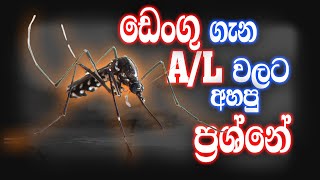 AL පොදු පරීක්ෂණ විවරණය 02  AL Examination and AL common general test [upl. by Aekerly353]