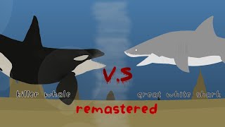 orca vs great white 2024 [upl. by Artkele827]