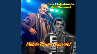 Metéle Plomo Tapecito [upl. by Naltiac]