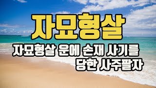 찐 사주풀이 자수 묘목이 있는 사주 자묘형살 작용력 [upl. by Corissa5]