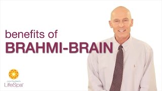 Benefits of BrahmiBrain  John Douillards LifeSpa [upl. by Reidid]