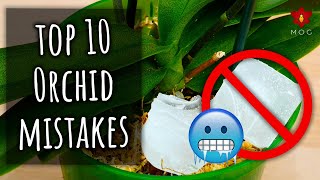 Top 10 Mistakes you didnt know you were making  Orchid Care for Beginners [upl. by Dragelin]