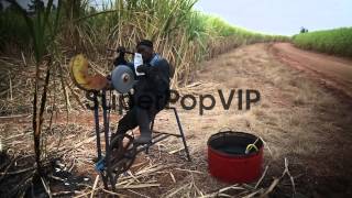 Mid shot of a worker sharpening his machete on a rotating [upl. by Robson442]