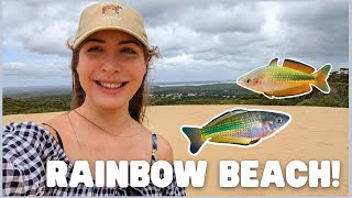 Catching Native Australian Fish near Rainbowbeach Tin Can Bay Part 2 [upl. by Nealey]