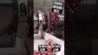 Beef Shank Desinewing on a POSS Separator food machine [upl. by Siloam]