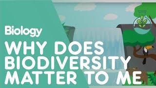 Why Does Biodiversity Matter To Me  Ecology and Environment  Biology  FuseSchool [upl. by Ajad]