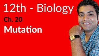 FSc Biology Book 2 Explain Mutation  Ch 20 Chromosomes and DNA  12th Class Biology [upl. by Lamond148]