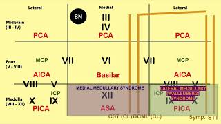 Brain Stem Lesion Mnemonic  CRASH Medical Review Series [upl. by Elizabet]