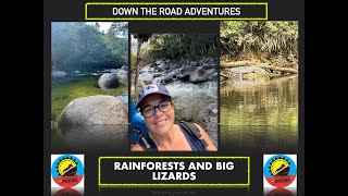 Rainforests and big crocs  The Daintree river and Mossman Gorge [upl. by Aloise]