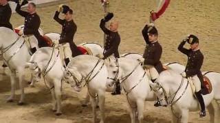 The Spanish Riding School of Vienna 08 [upl. by Beverlee114]