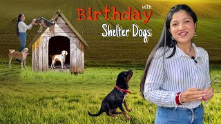 Celebrated Birthday with Shelter dogs [upl. by Ggerc]