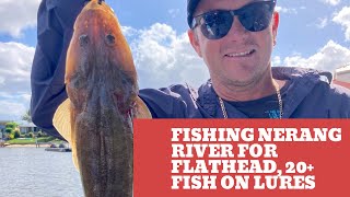 Nerang river flathead on lures 🎣 [upl. by Siderf]