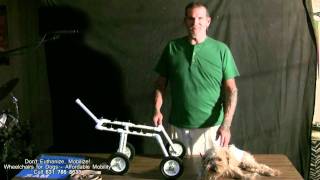 Wheelchairs for Dogs [upl. by Manville]