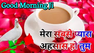 Good Morning Wishes 🌹 Good Morning Love Shayari 🌹 I Love You Meri Jaan 🌹 Good Morning 🌄 [upl. by Brunk]