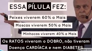 💊 A PÍLULA mágica da saúde  Dr Lair Ribeiro [upl. by Enelrahs]