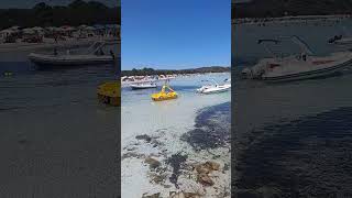 Cala Brandinchi  TAHITI BEACH  Sardinia Best Beaches in the WORLD 🌎 [upl. by Mamie120]