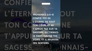 Proverbes 356 motivation life [upl. by Annaer]