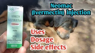 NEOMAC Injection use in Dogs  Ivermectin UsesDosageSide effects etc How to use dogs neomac [upl. by Gamal]