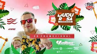 DUDU ROSA E A PEGADA DA GALERA VERÃO 2019  VALBER CDS [upl. by Wootten]