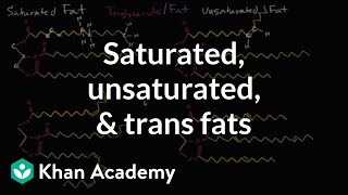 Fatty Acids Glycerol and Lipids  Biochemistry [upl. by Akirdnas]