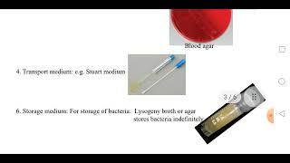 Bacterial Culture Media amp Growth Curve [upl. by Groome381]