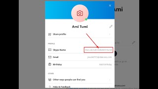 How To Change Skype Fake Username Instantly 2022  Bangla Tutorial [upl. by Naul910]