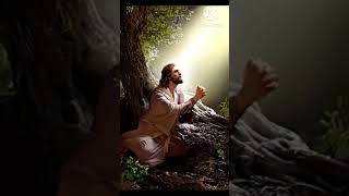 Jesus life story 4th chapter part 3 jesus jesuschrist shorts viralshorts [upl. by Adyam]