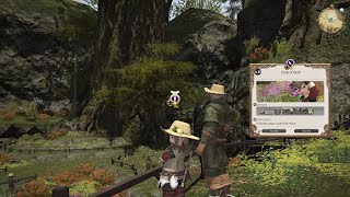 FFXIV Botanist Class Quest Crisis of Faith [upl. by Eldred]