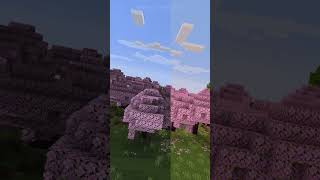 Minecraft Comparison Sildurs Basic vs Enhanced vs Vibrant Shaders [upl. by Okim]