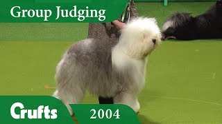 Old English Sheepdog wins Pastoral Group Judging at Crufts 2004 [upl. by Laersi648]