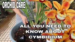 A Comprehensive Cymbidium Culture and Flowering Guide [upl. by Vardon]