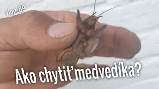 Ako chytiť medvedíka vlog89 [upl. by Nemrac]