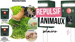 Répulsif solaire pour animaux chats chiens taupes [upl. by Nrehtak]