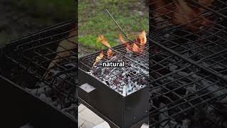 Building the ULTIMATE Sustainable Outdoor Cooking Experience [upl. by Oakman]