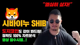 시바이누 SHIB 긴급 이제 11월 다끝났다 곧 quot결과나옴quot 정확도 100 차트분석 도지코인도 같이 봐드립니다 코인시황 [upl. by Briny]