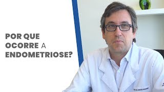 Por que ocorre a endometriose [upl. by Zelig]