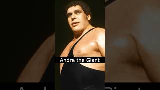 The Life and Death of Andre the Giant [upl. by Kriste]