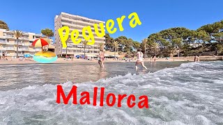 The Best of Peguera Mallorca  The Ultimate Guide [upl. by Ahsemat69]