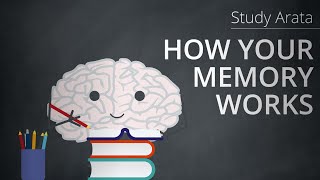 This is how your memory works encoding storage and retrieval  Study Arata 19 [upl. by Tonl]