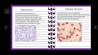 Inclusiones y agrupaciones eritrocitarias [upl. by Llerrahs]