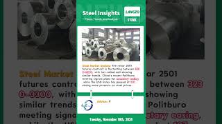 Steel Market Insights  November 19 2024 [upl. by Iyre]