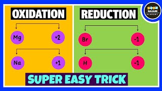 Oxidation and Reduction Reactions [upl. by Ennirak]